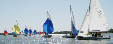 CofC Regatta 2011